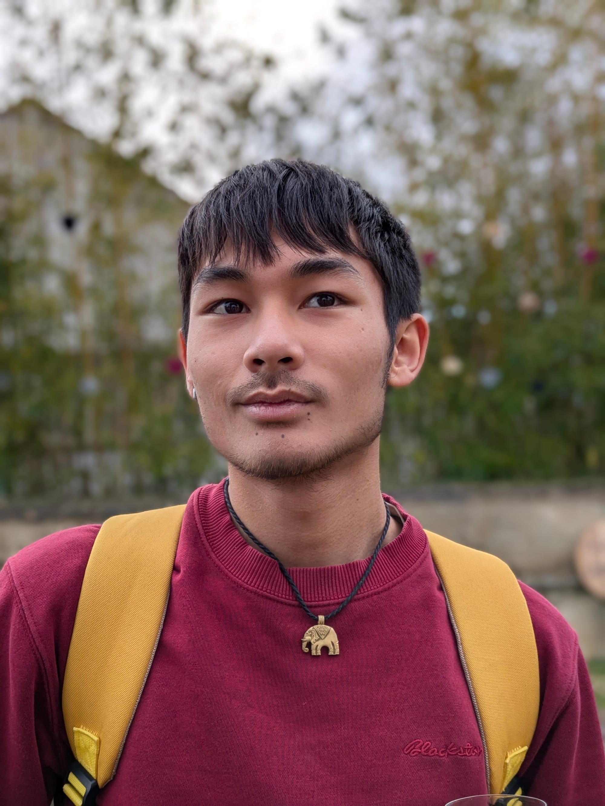 Vincent Nguyen Van Tu